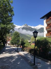 Street amidst trees and buildings against blue sky