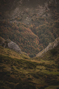 Scenic view of land and mountains