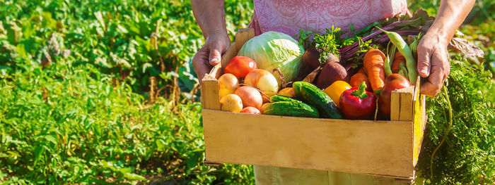 Close-up of vegetables