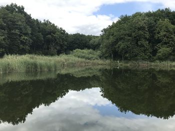 Reflection of trees in lake against sky