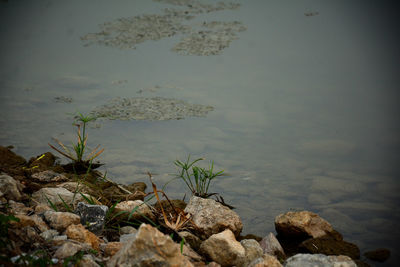 Rocks in lake