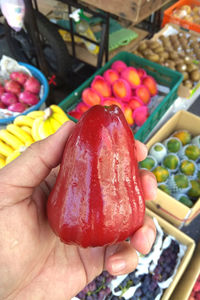 Midsection of person holding strawberries in market
