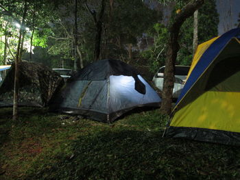 Tents on field in forest at night