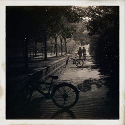 People cycling on road