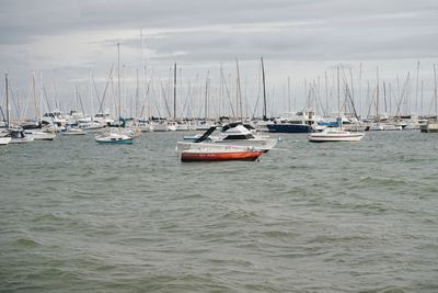 Sailboats moored on sea against sky
