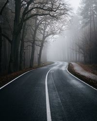 Empty road amidst trees in forest during foggy weather