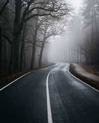 Empty road along trees