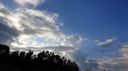 Low angle view of silhouette trees against sky