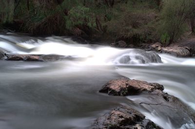 View of waterfall in forest