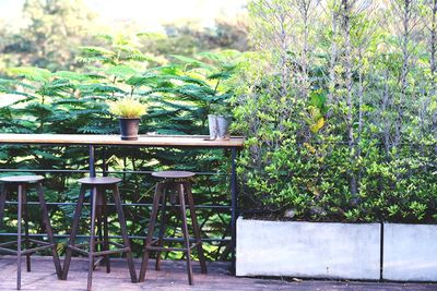 Empty chairs and table in yard