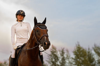 Horse standing against sky