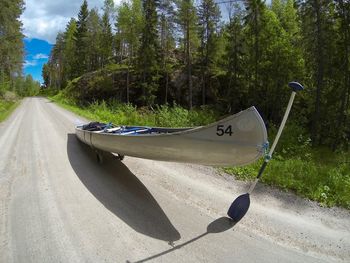 Road amidst trees