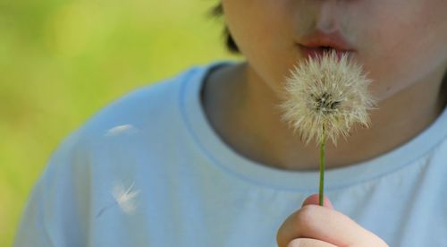 Midsection of boy blowing dandelion