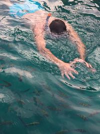 High angle view of man swimming in sea