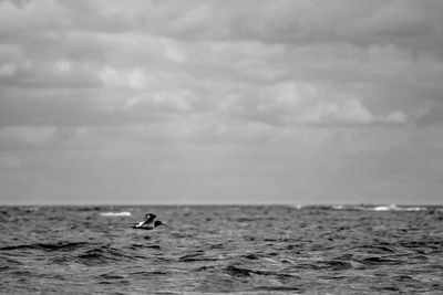 Scenic view of a bird and sea against sky