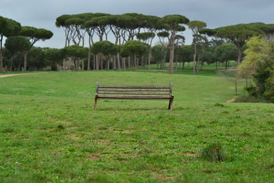 Empty bench in park