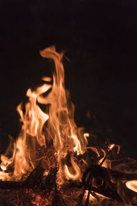 Fire flames in motion, bonfire in the nature. concepts of travel, adventures and outdoor fun. 