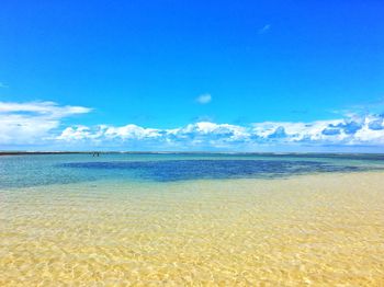 Scenic view of beach against blue sky