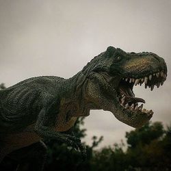 Low angle view of tree against sky
