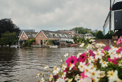 Beautiful leiden