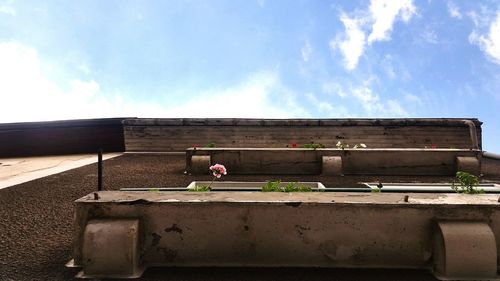 Man horse on retaining wall against sky