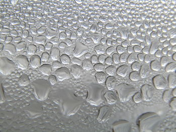 Water droplets formed by condensation.