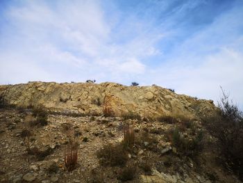 Low angle view of rocks on land against sky