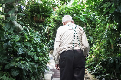 Rear view of senior man walking on footpath amidst plant