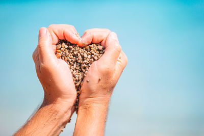 Cropped hand of woman holding seashell