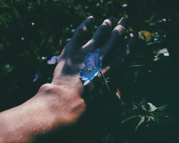 Midsection of man holding plant