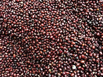 Full frame shot of coffee beans