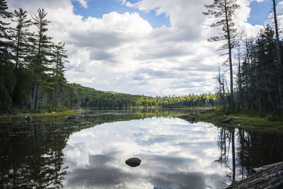 Reflection of trees in lake against sky