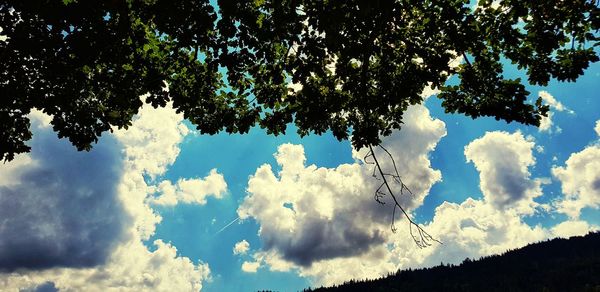 Low angle view of silhouette trees against blue sky