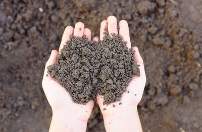 Close-up of person holding hands