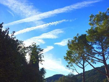 Low angle view of trees against cloudy sky