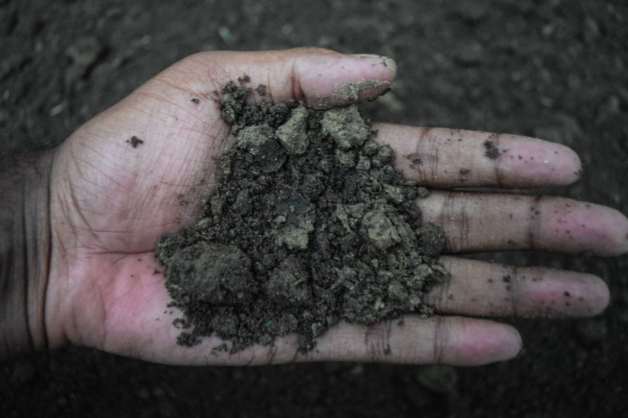 HIGH ANGLE VIEW OF HUMAN HAND HOLDING LEAF