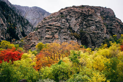 Scenic view of cliff against sky