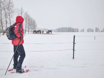 Winter hiking on snowshoes with a backpack. hiker walk around electric fence of horse paddock.