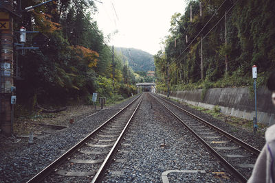 Railroad tracks along trees and plants