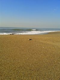 Scenic view of beach against clear sky