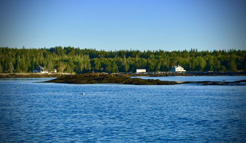 Scenic view of sea against clear blue sky