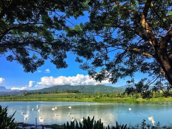 Scenic view of lake against sky