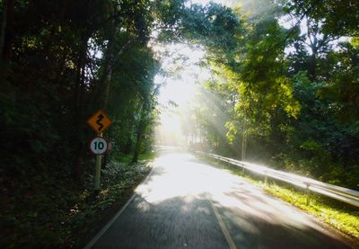 Road sign by trees in forest against sky