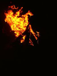 Close-up of bonfire at night