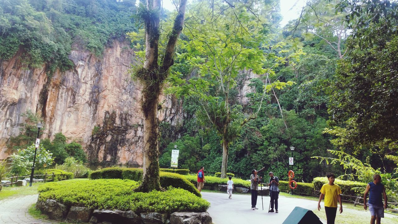 tree, large group of people, men, person, lifestyles, growth, leisure activity, walking, green color, nature, tourist, park - man made space, mixed age range, beauty in nature, group of people, medium group of people, vacations, footpath, tree trunk