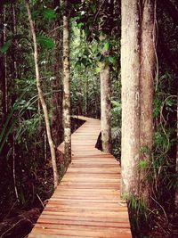 Wooden footbridge in forest