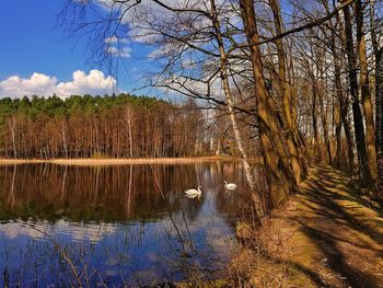 Reflection of trees in lake against sky