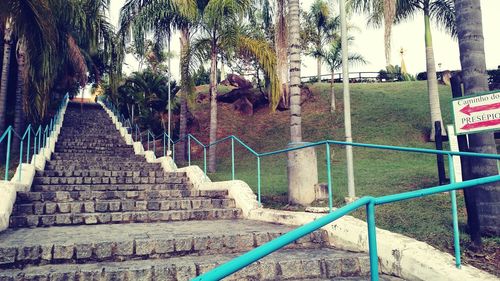 Staircase amidst trees and plants seen through railing