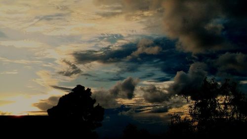 Low angle view of silhouette trees against sky