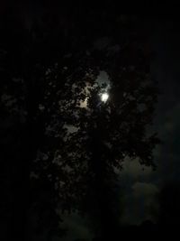 Low angle view of silhouette trees against sky at night